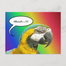 Funny Talking Parrot Rainbow Hej Postcard