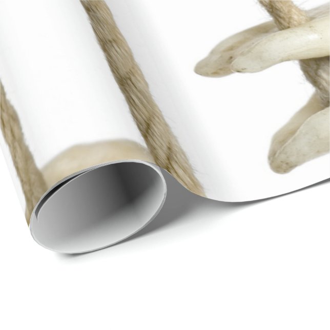 Funny tandfotografi Extraherad tjugondentist Presentpapper (Rullad Hörn)