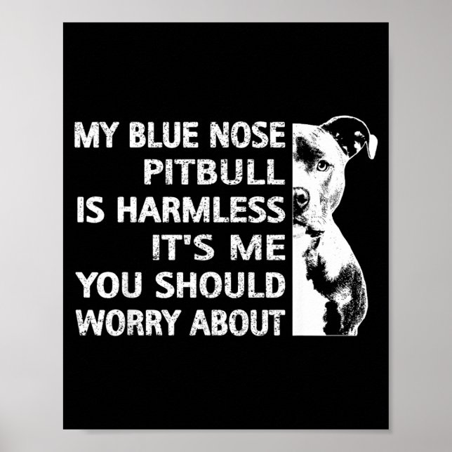 Funny Tbull Quote Blue Nose Tbull Design Cool Dog  Poster (Framsidan)
