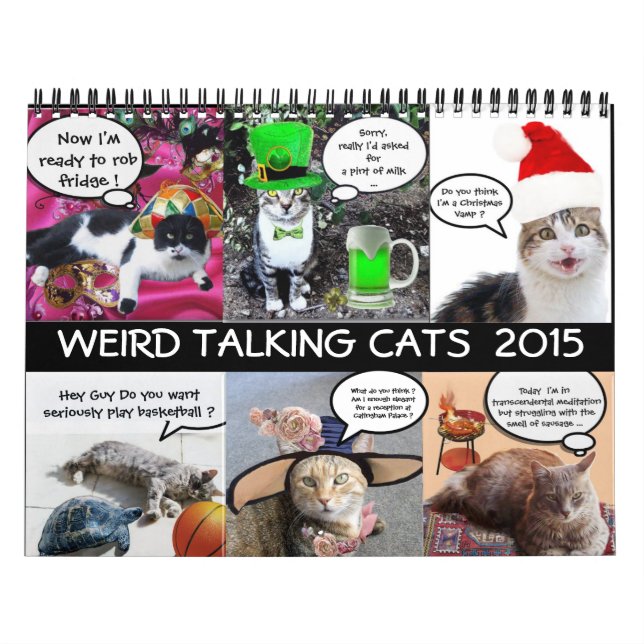 FUNNY TECKNAD STRIPS FRÅN KONSTIG TALKING CATS 201 KALENDER (Omslag)