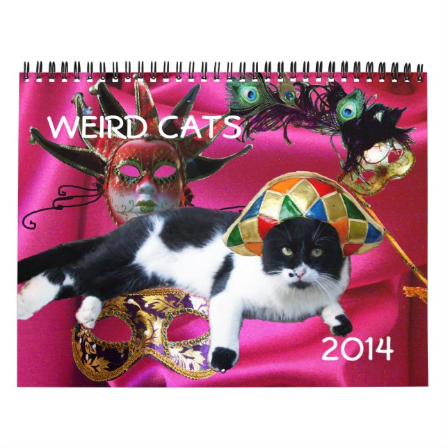 FUNNY TECKNAD STRIPS FRÅN KONSTIG TALKING CATS 201 KALENDER (Omslag)