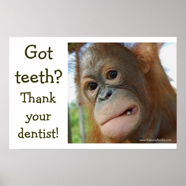 Funny Tooth Gratitude Poster (Framsidan)