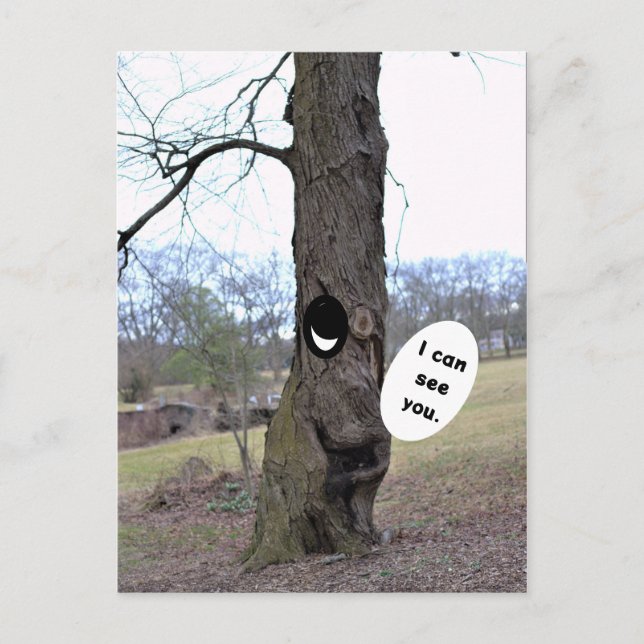 Funny Träd-fotovykort Vykort (Framsida)