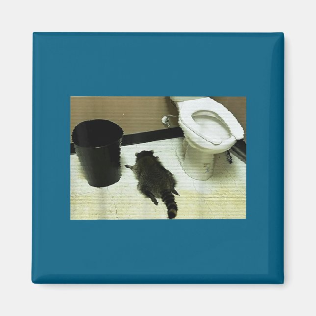 Funny Trashed Panda Drunk Racoon  Magnet (Framsidan)