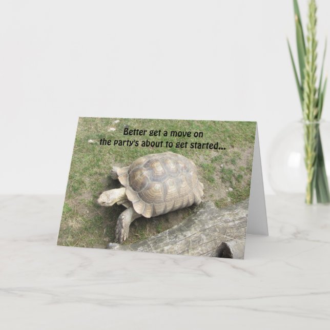 Funny Turtle Birthday Kort (Framsida)