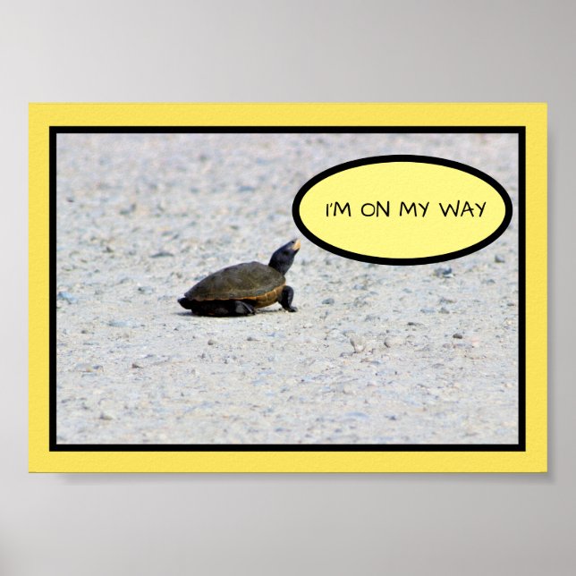 Funny Turtle Photo Poster (Framsidan)