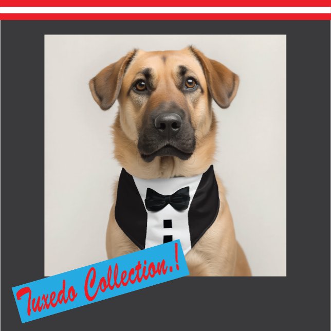 Funny Tuxedo 🎩 Black Tie Formal Bagagebricka (Skapare uppladdad)