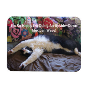Funny Tuxedo Cat Cute gör en mexikansk vågmagnet Magnet