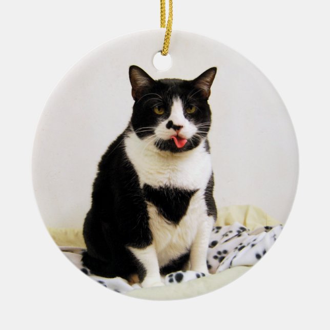 Funny Tuxedo Cat Ornament (Framsidan)