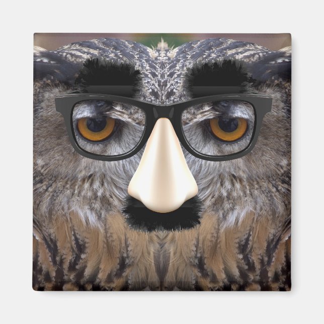 Funny Uggla Ansikte med mask Magnet (Framsidan)