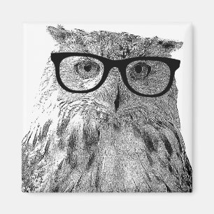 Funny uggla magnet Fågel med glas