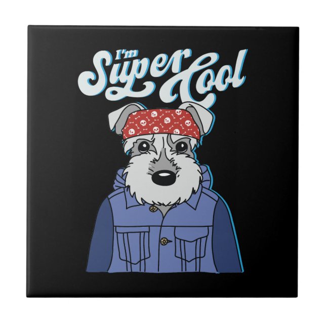 Funny Ungdom 3 Kakelplatta (Framsidan)