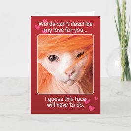 Funny Valentines day Sexy Cat Helgkort