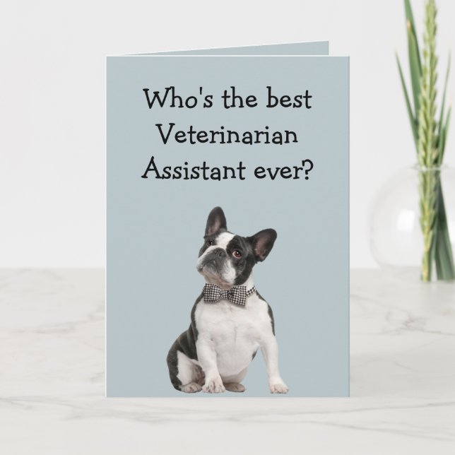 Funny Veterinarian Asst Thank You  Boston Terrier Kort (Framsida)