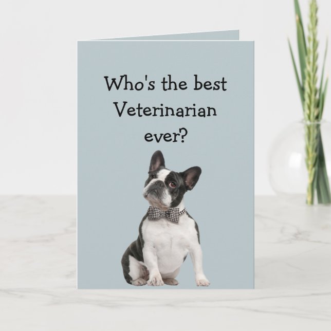 Funny Veterinarian Thank You Wishes Boston Terrier Kort (Framsida)