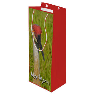 Funny Vin more Sand Backe Crane Nature Wildlife