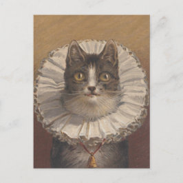 Funny Vintage Edwardian Cat Postcard Vykort