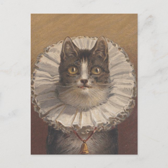 Funny Vintage Edwardian Cat Postcard Vykort (Framsida)