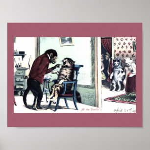 Funny Vintage Print Monkey Dentist w/ Cat Patients Poster