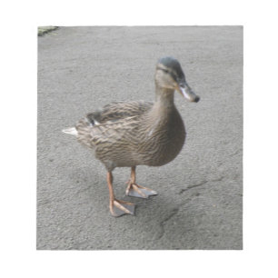Funny Waddling Anka Anteckningsblock