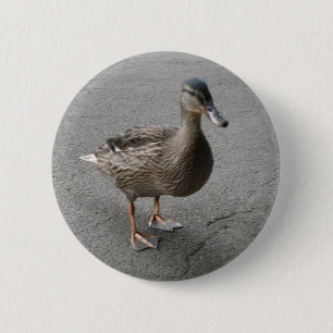Funny Waddling Anka Button Knapp