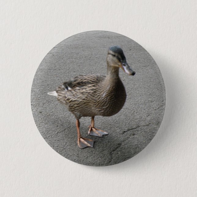 Funny Waddling Anka Button Knapp (Framsida)