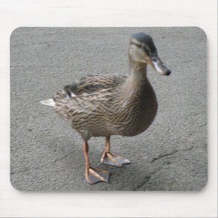 Funny Waddling Anka Mousepad Musmatta