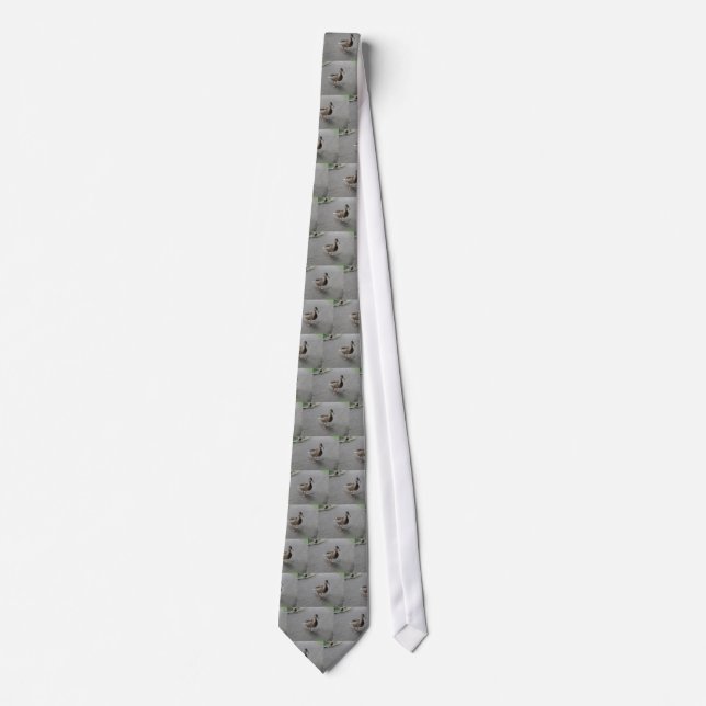 Funny Waddling Anka Tie Slips (Framsida)