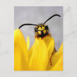 Funny Wasp-vykort Vykort