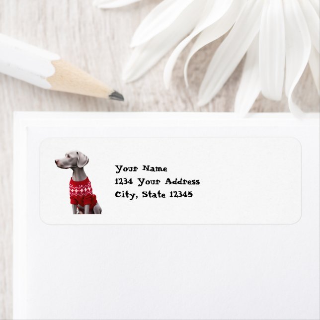 Funny Weimaraner i julsötaren Adress Returadress Etikett (Insitu)
