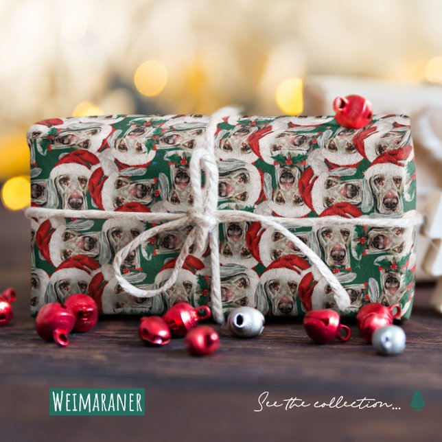 Funny Weimaraner jul Mönster Presentpapper (Skapare uppladdad)