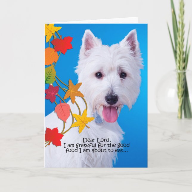 Funny Westie Thanksgiving Card Helgkort (Framsida)