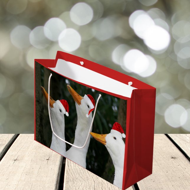 Funny White Ankor i Red Santa Caps Helgdag (In Situ)