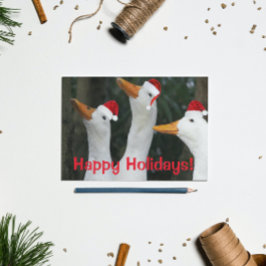 Funny White Ankor Wearing Red Santa Caps Helg Vykort