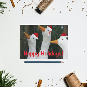 Funny White Ankor Wearing Red Santa Caps Helg Vykort