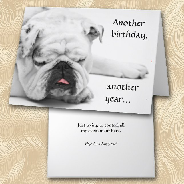 Funny White Bulldog Birthday Kort (Skapare uppladdad)