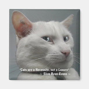FUNNY WHITE CAT Magnet Series