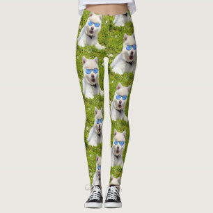 Funny White Husky Puppy med blå solglasögon. Leggings