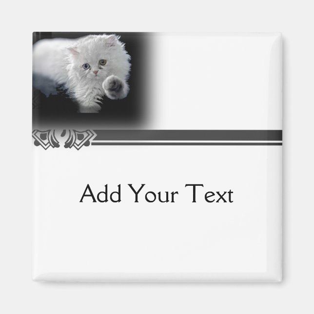 Funny White Persian Cat Magnet (Framsidan)