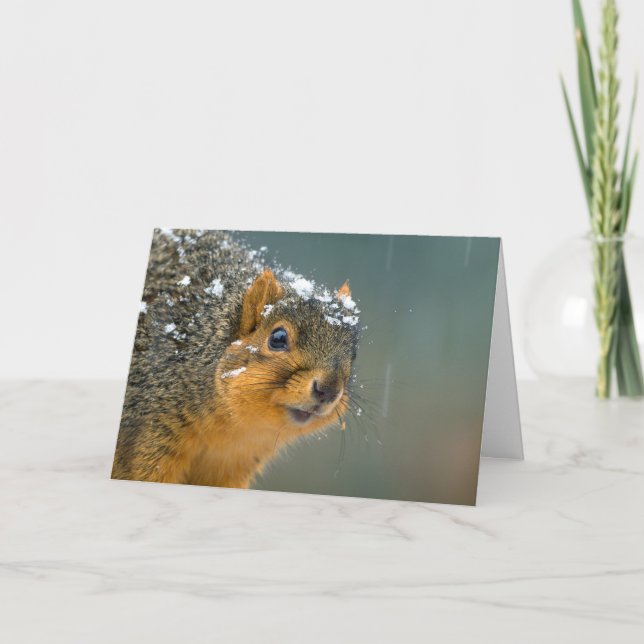 Funny Wildlife-julkort Helgkort (Framsida)