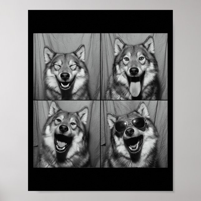 Funny Wolf Photo Booth Sungles Dog  Poster (Framsidan)