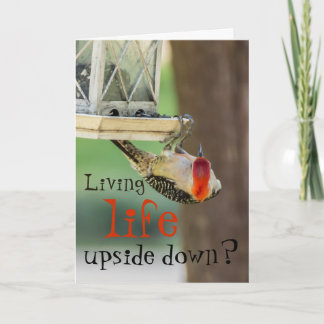 Funny Woodpecker Photography Typography Life Quote Kort
