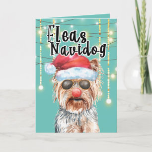 Funny Yorkie Santa i ljus glad helg Kort
