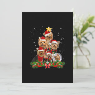 Funny Yorkshire Terrier Hund Julgran