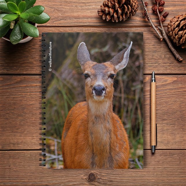 Funny Young Blacktail Hjort Smiles på Photographer Anteckningsbok (Young Blacktail Deer Stares at the Photographer Journal Cover Photo)