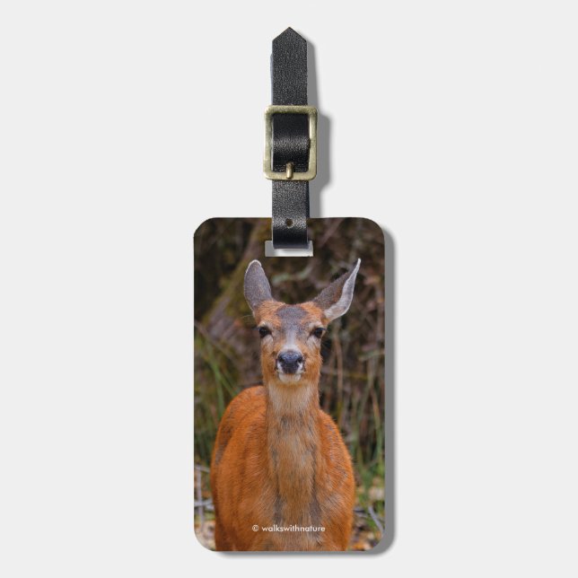 Funny Young Blacktail Hjort Smiles på Photographer Bagagebricka (Vertikal Framsida)