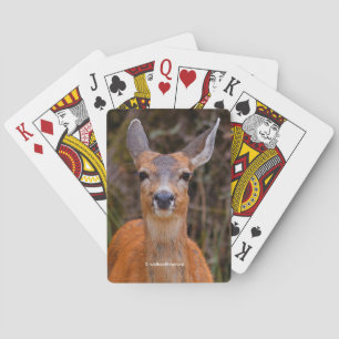 Funny Young Blacktail Hjort Smiles på Photographer Casinokort