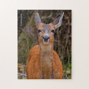Funny Young Blacktail Hjort Smiles på Photographer Pussel