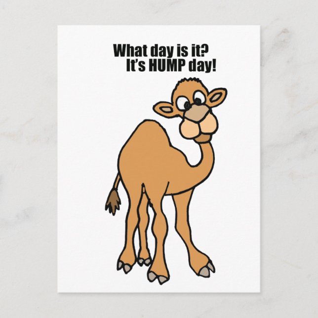 Funy Hump Day Camel Art Vykort (Framsida)