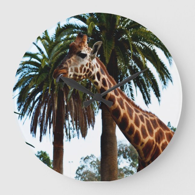 Funyy Giraffe Poking out Tunga Stor Klocka (Framsida)